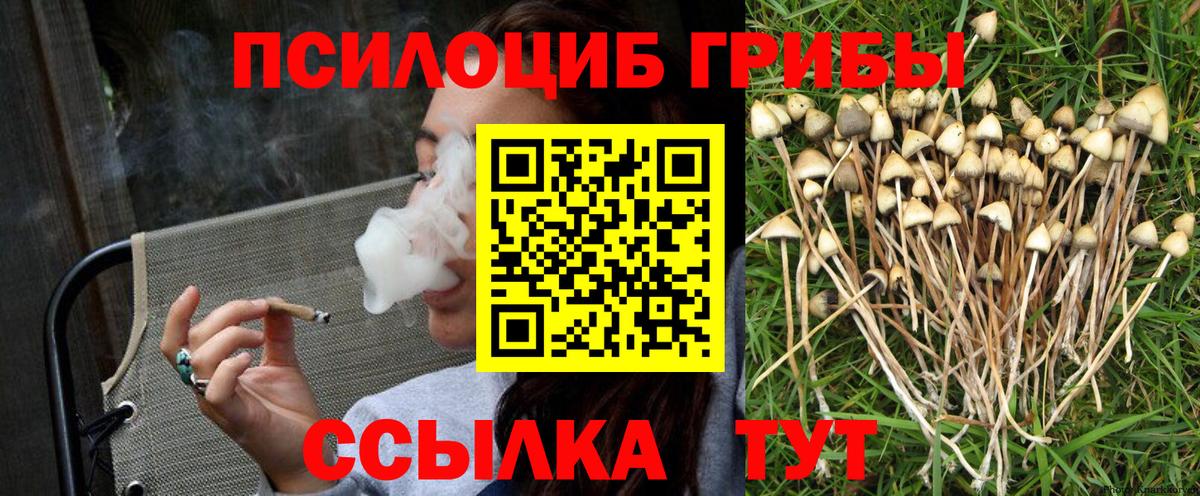 Галлюциногенные грибы Psilocybine cubensis  Вход с VPN  Коркино 